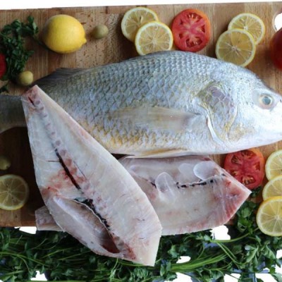 ماهی سنگسر تازه