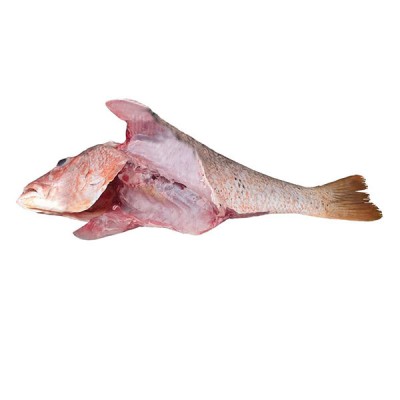 ماهی سرخو تازه