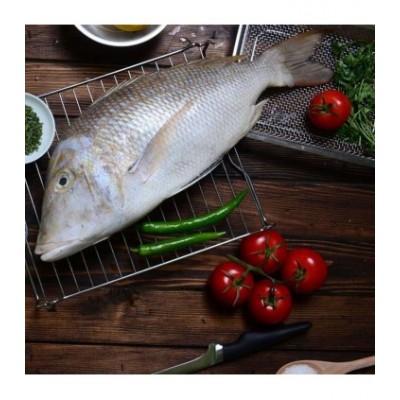 ماهی شعری یا شهری