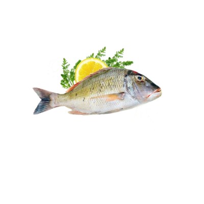 ماهی شعری یا شهری